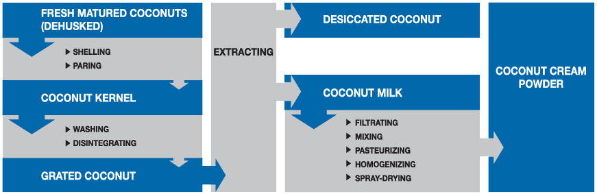 manufacturing-process-of-cocos